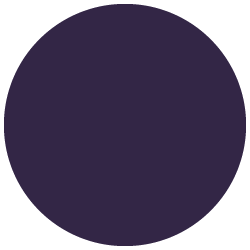 Roland Purple